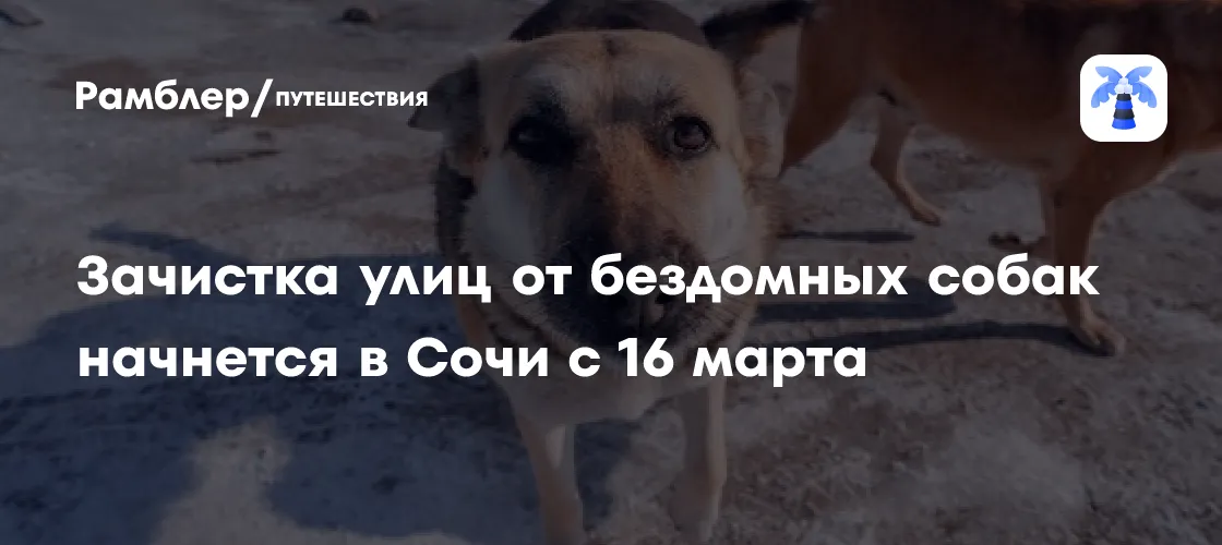 Где найти бюджетное жилье у воды в городе-курорте